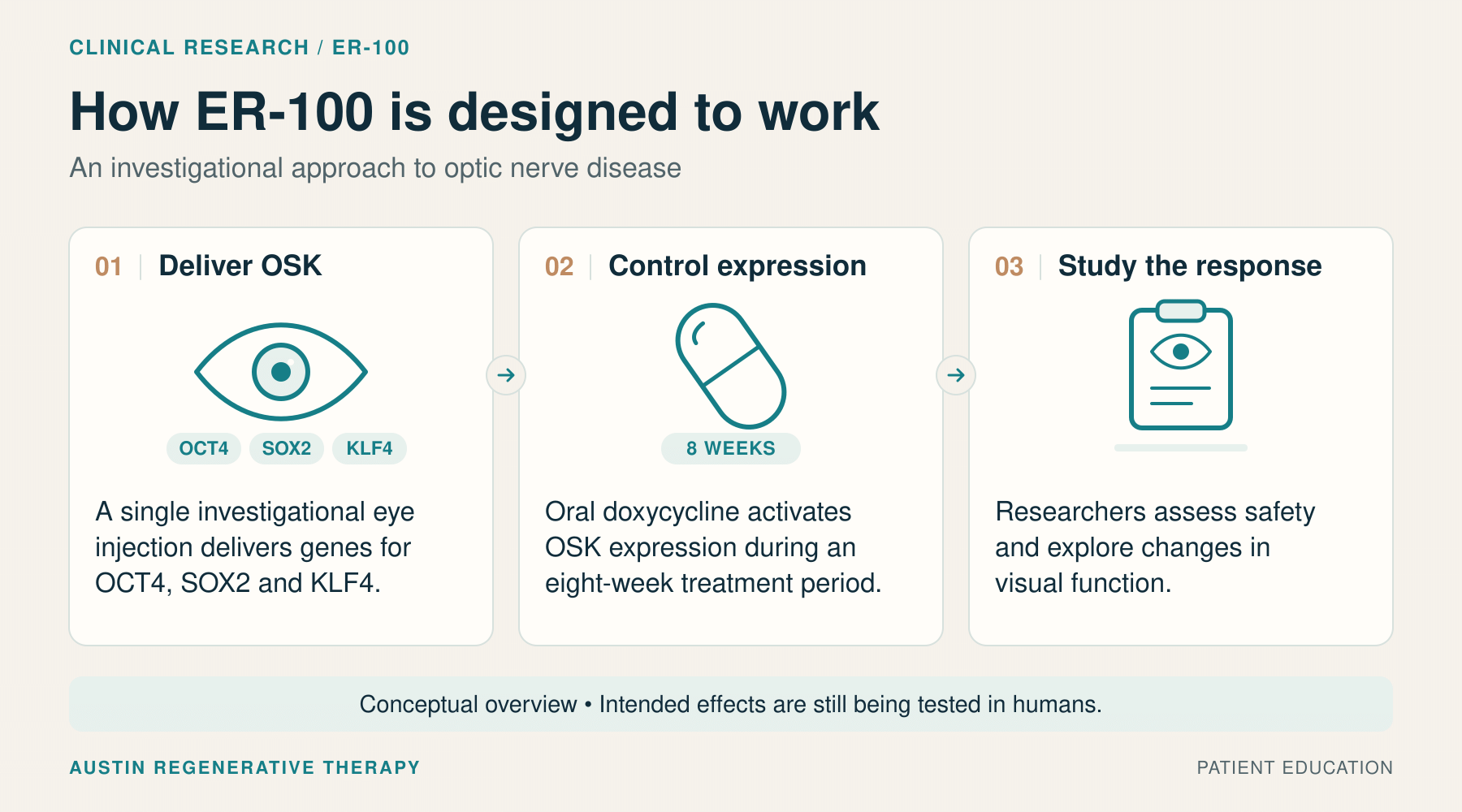 ER-100 research overview: deliver OSK genes through an eye injection, activate expression with doxycycline for eight weeks, and assess safety and visual function.